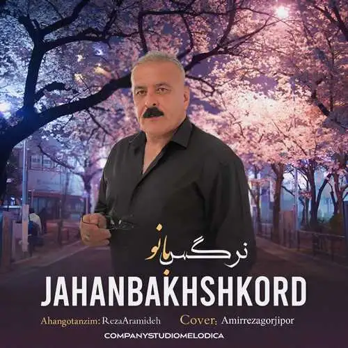 نرگس بانو